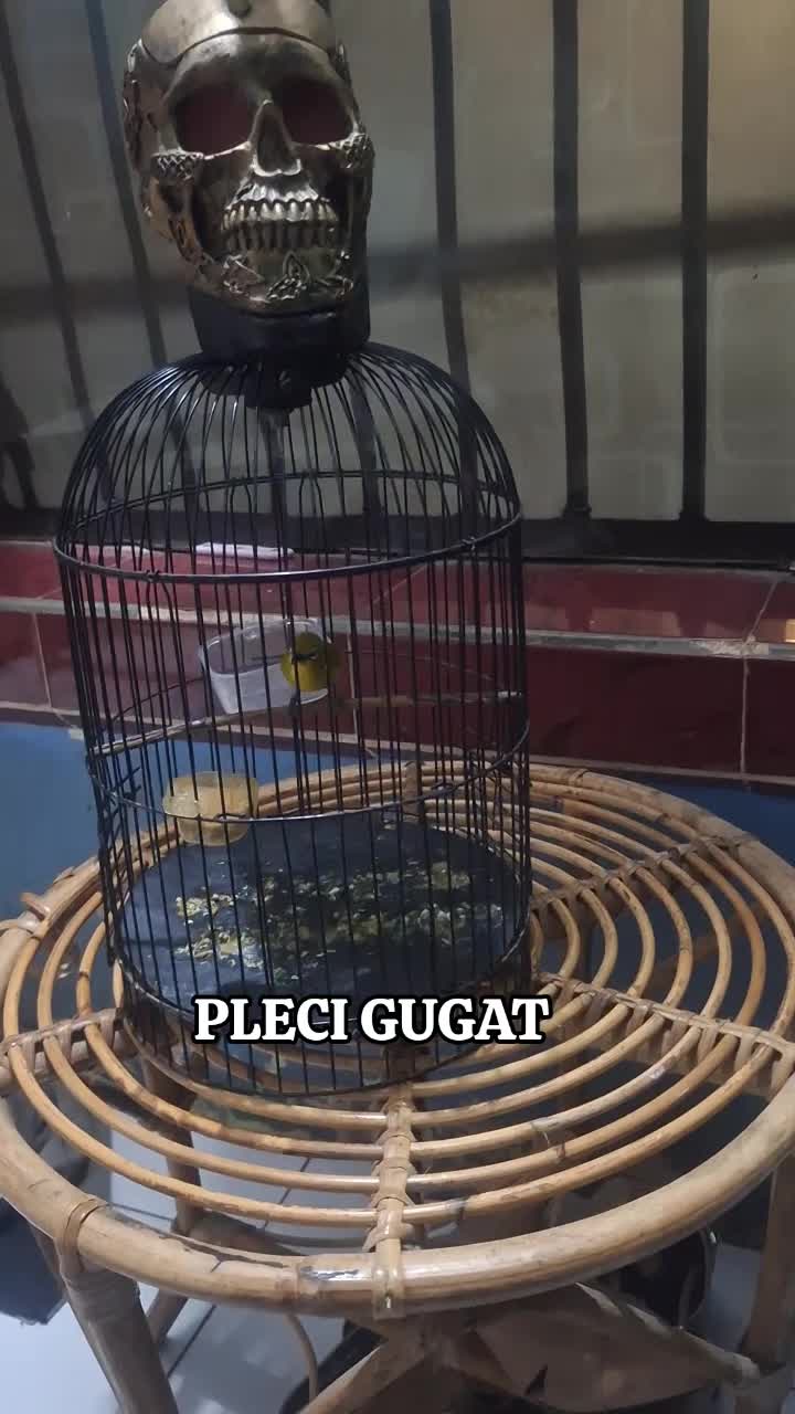 @totalbukpar