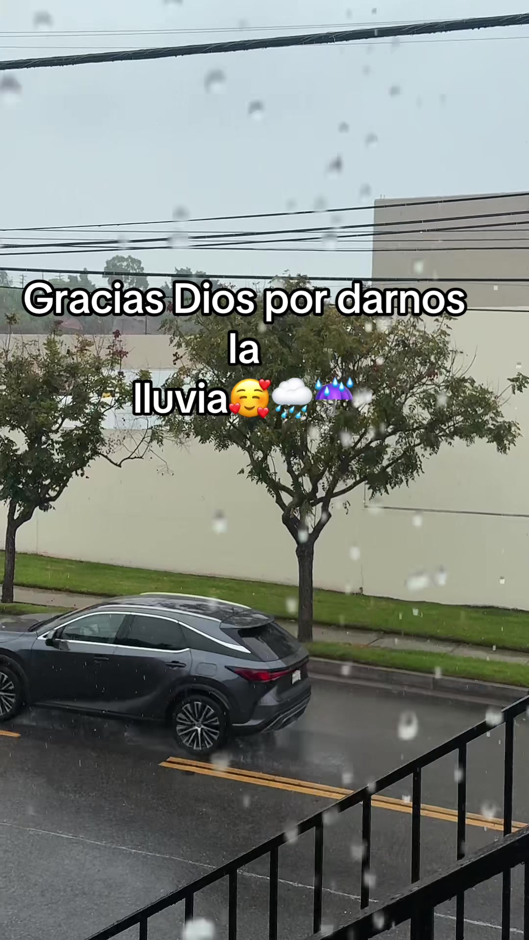 @Nancy Montoya🎀