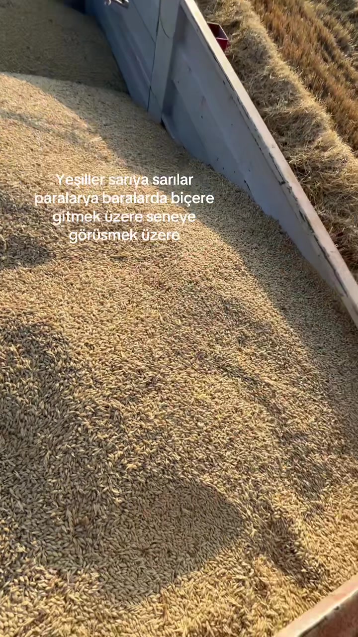 @Yasinköle
