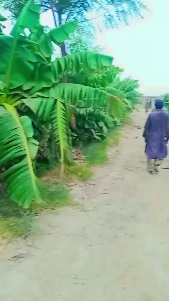 @Subhan Ali Meerani