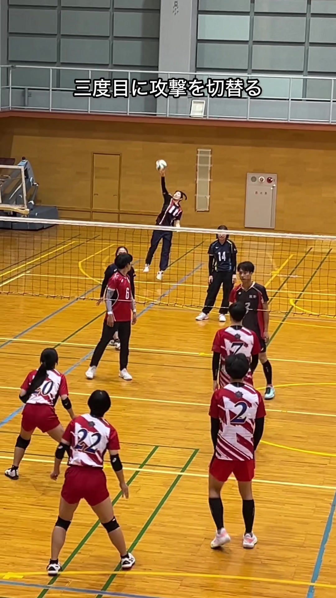 @クルーズカップ