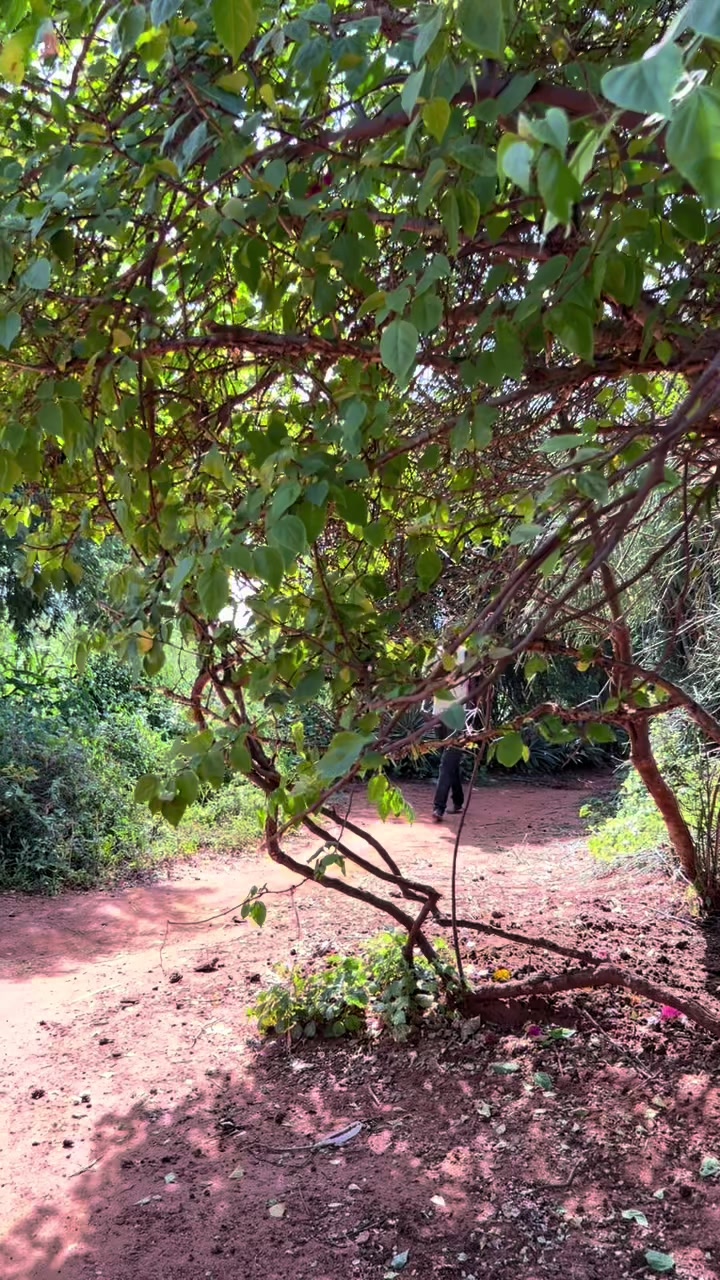 @MUSYOKA KYAMBI