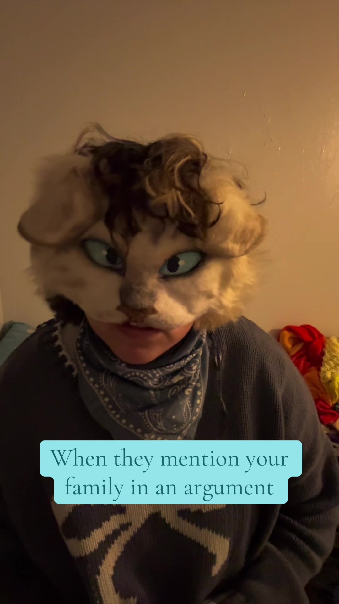 @collieollieboy