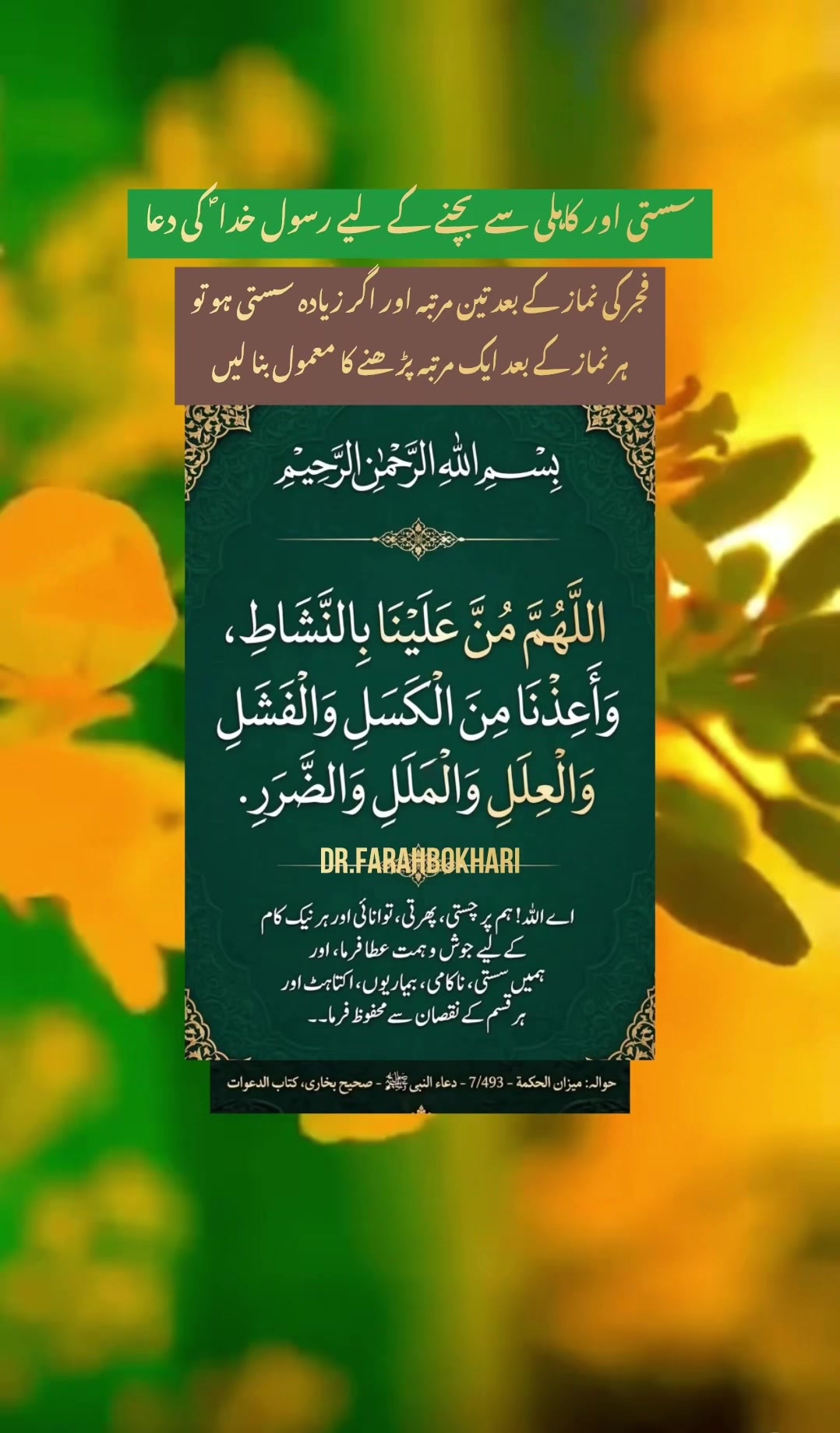 @dr.farahbokhari