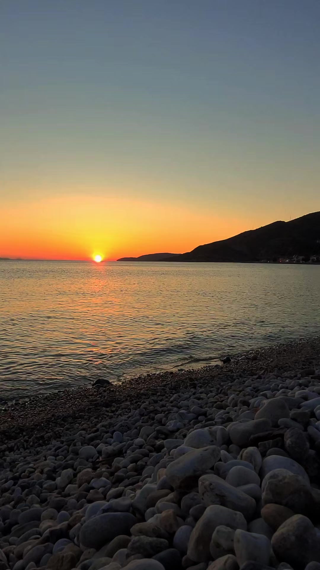 @M.SLN kod adı 007