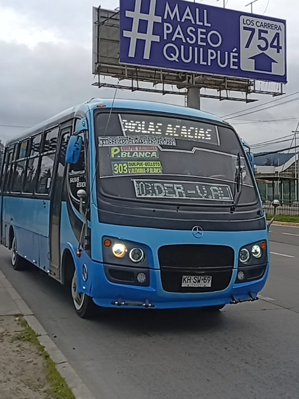 @busologia_wasabi