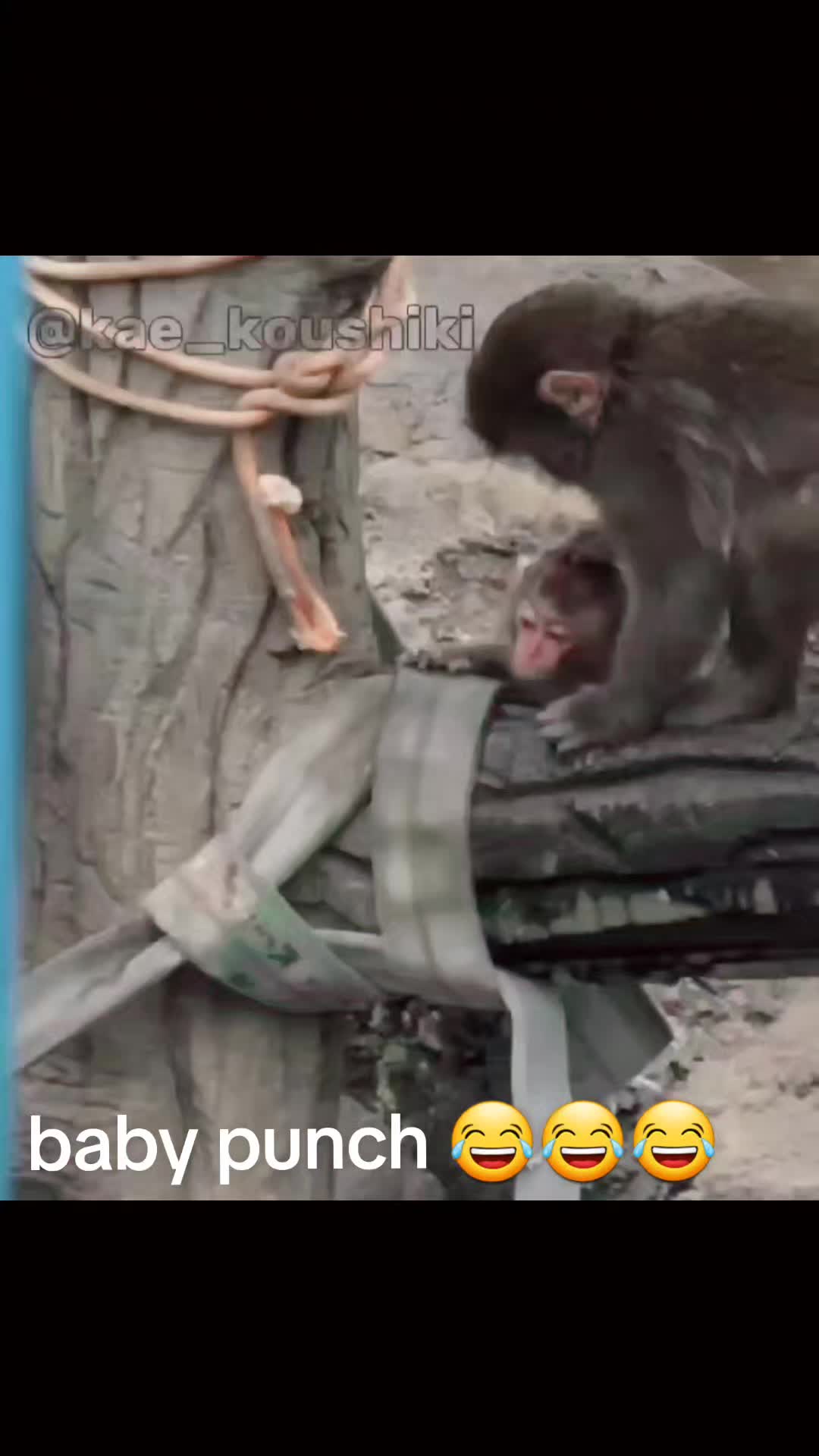 @Punch baby