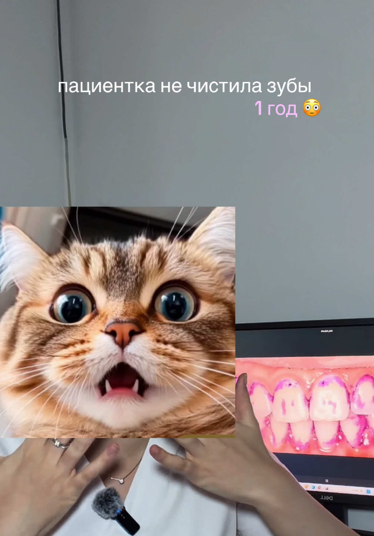 @k.kabatskaya