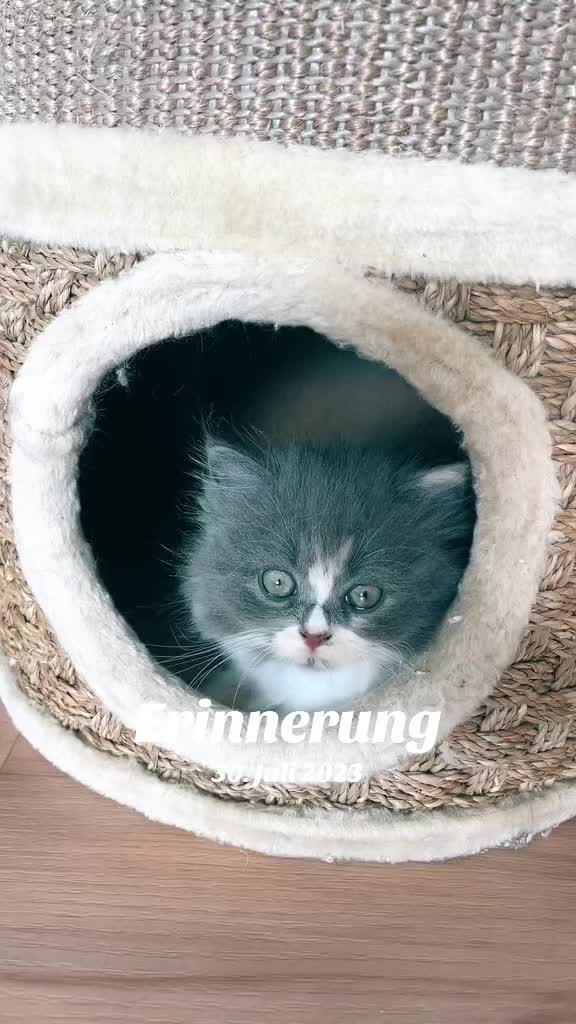 @palina ❤️