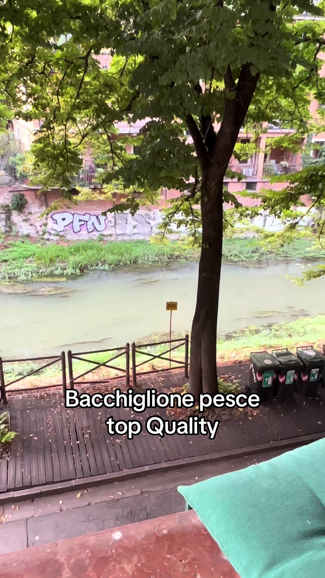 @Giu