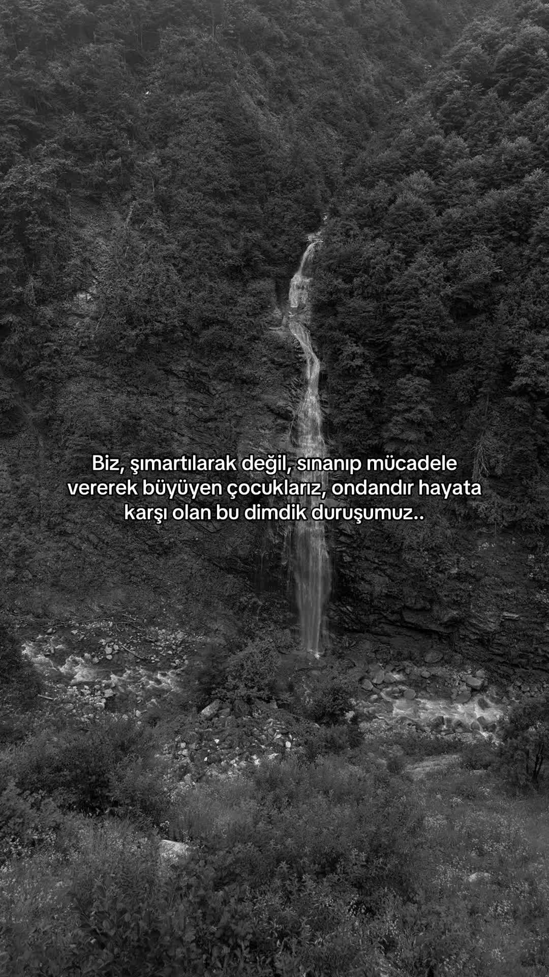 @MehtapTek🇹🇷