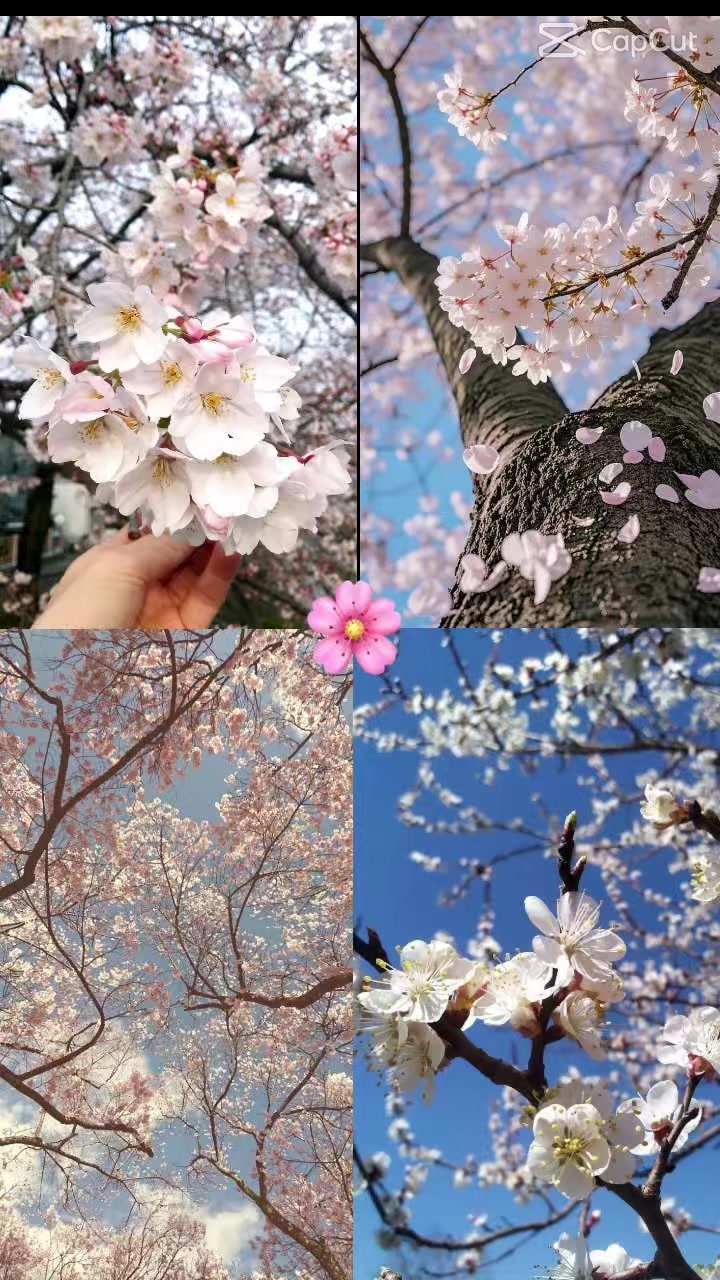 @irem ❤️M.Ş 04