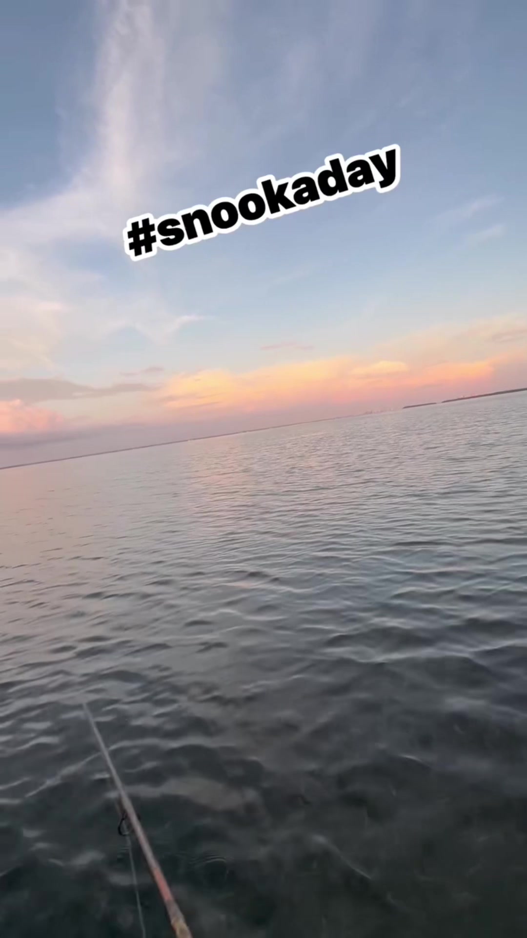 @Gotitfishing