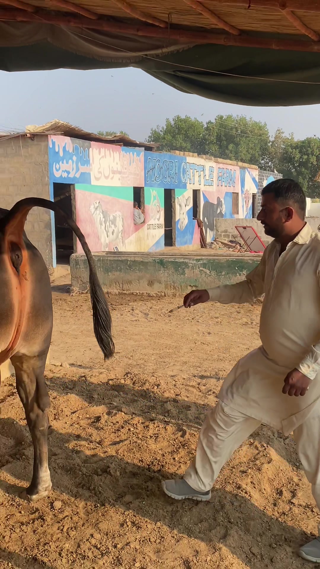 @Mandi Wali Sarkar 2.0