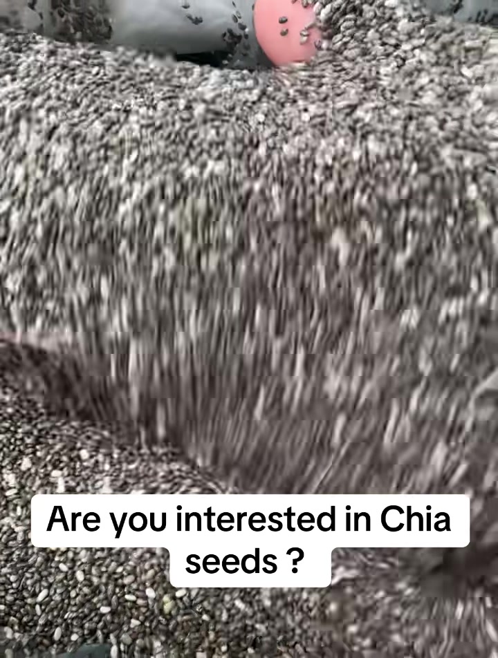 @Bxhspices(ChinaSpicesSupplier)