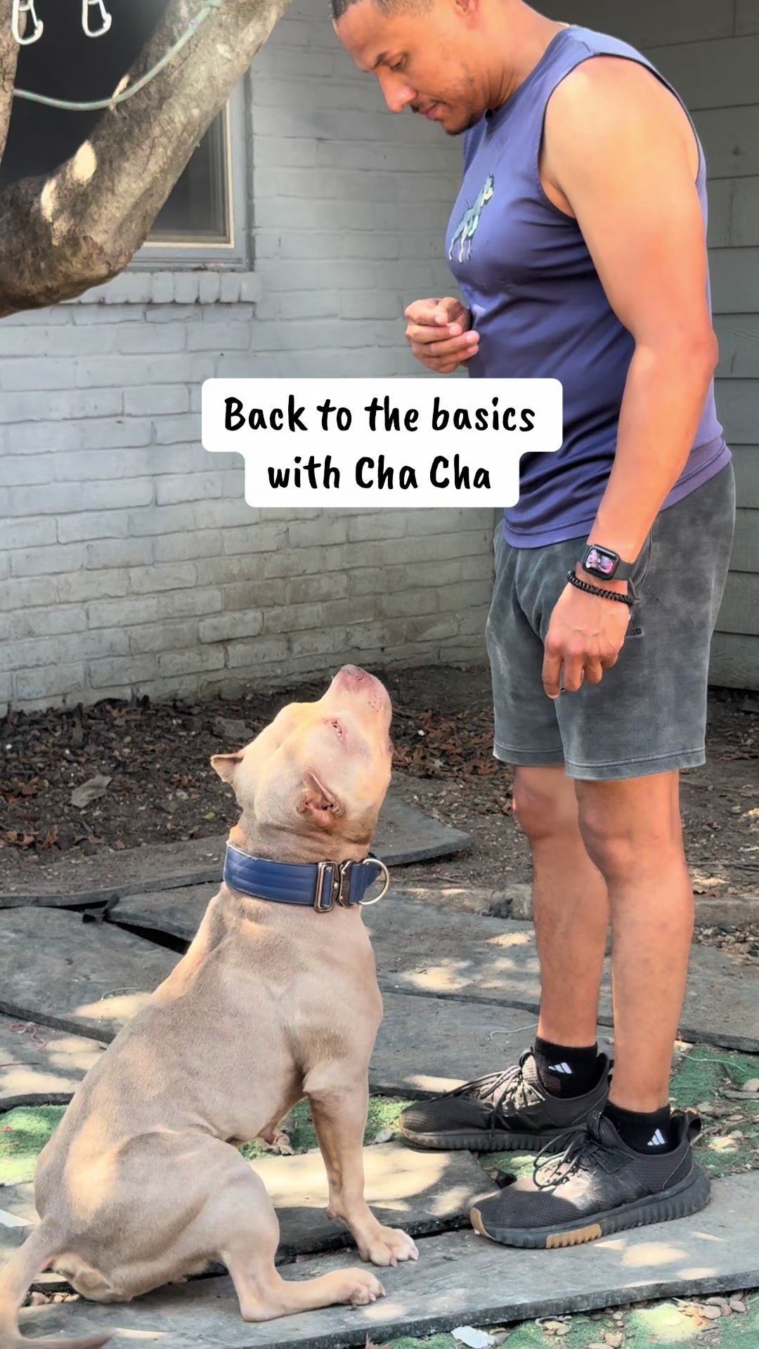 @Better Best Dog