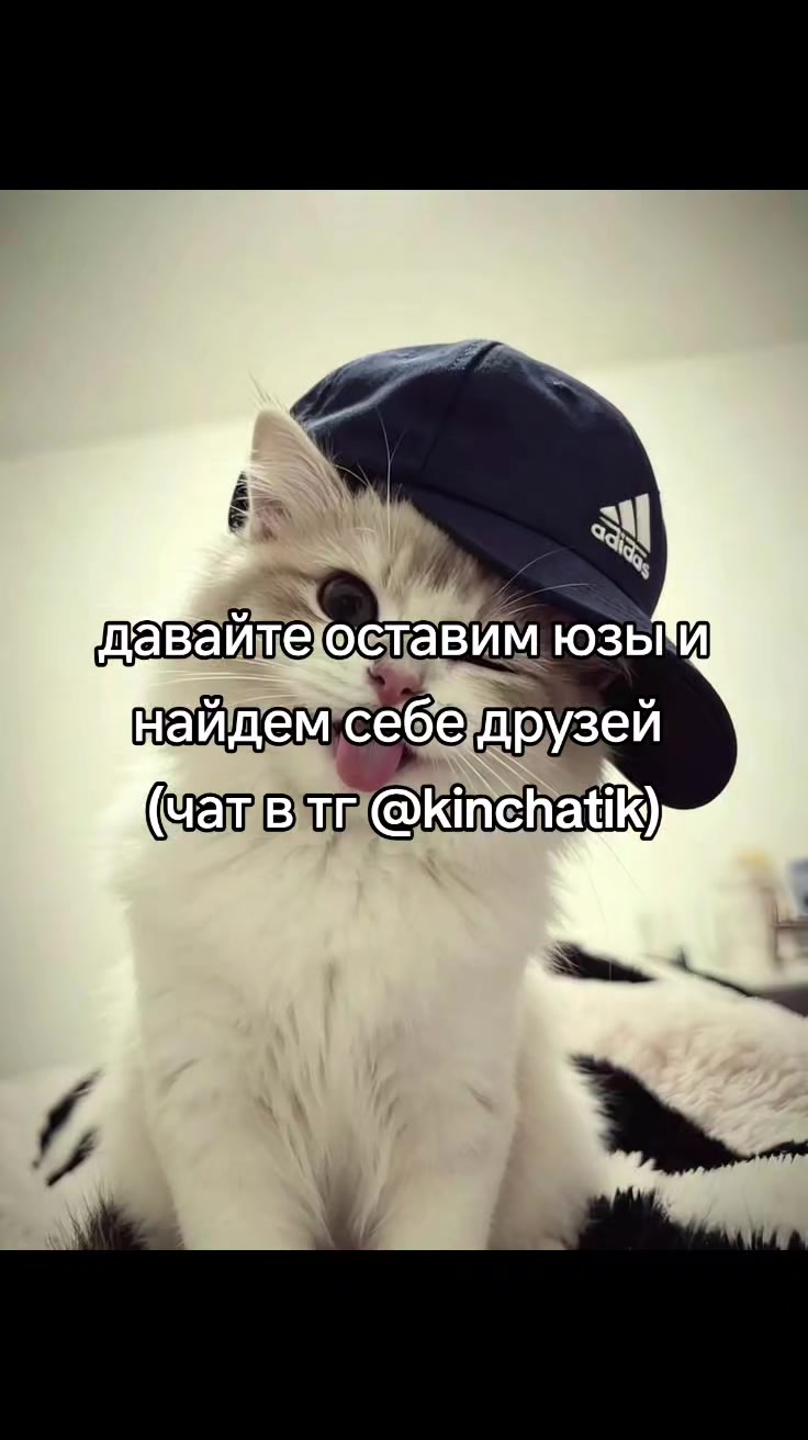 @cqtagger