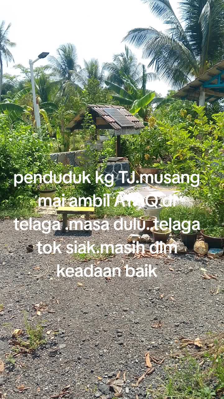@pakwan