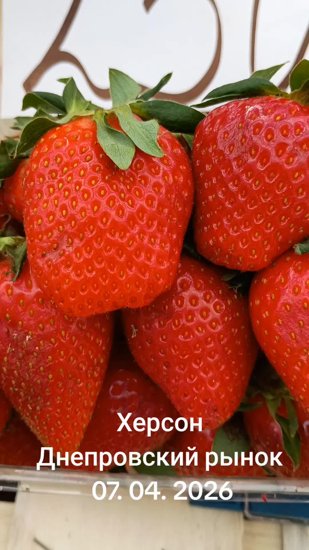 @IOSIF99999