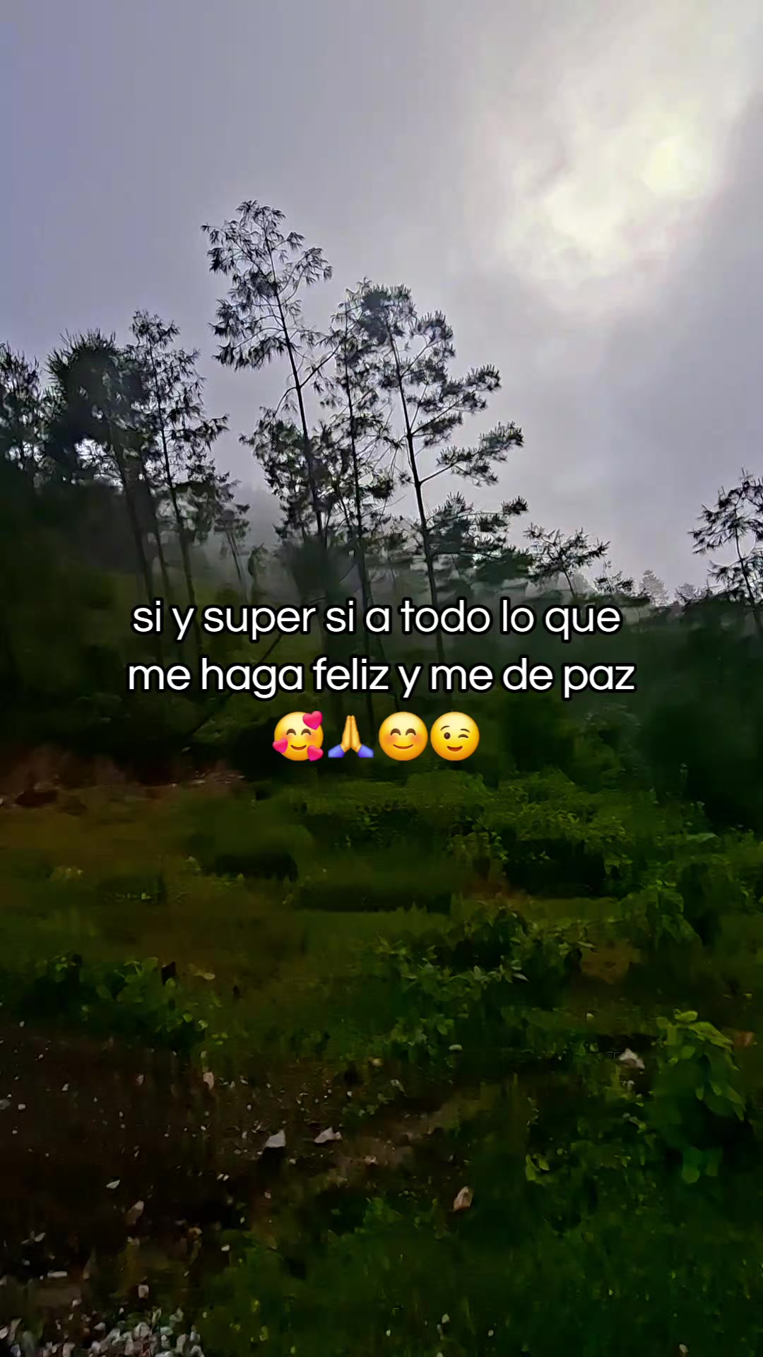 @Fer Zo