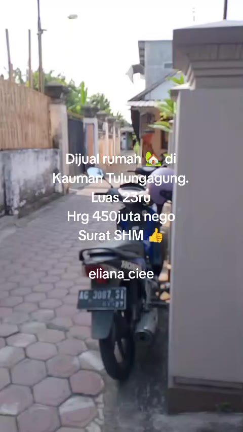 @eliana