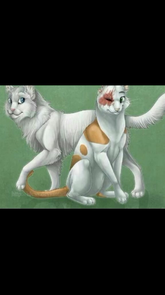 @Warrior Cats