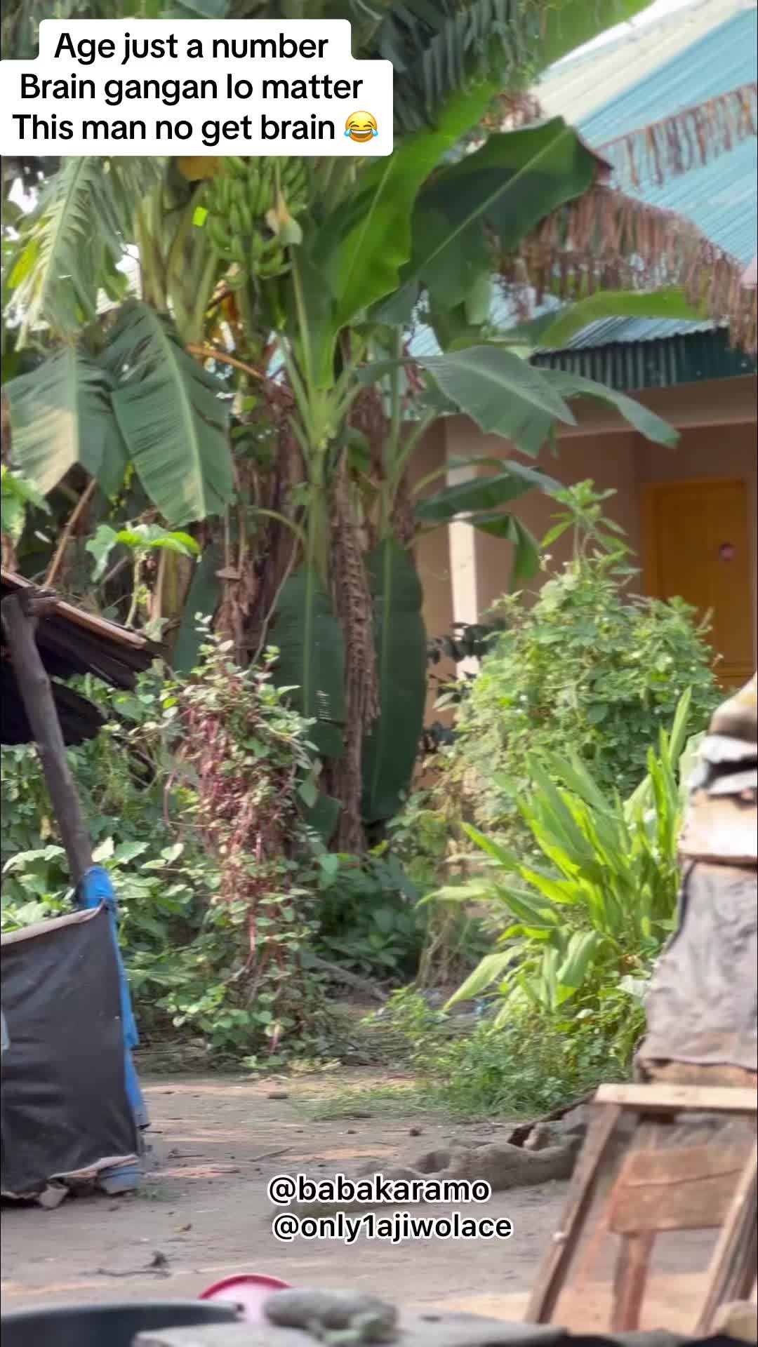 @orukominiajiwolace