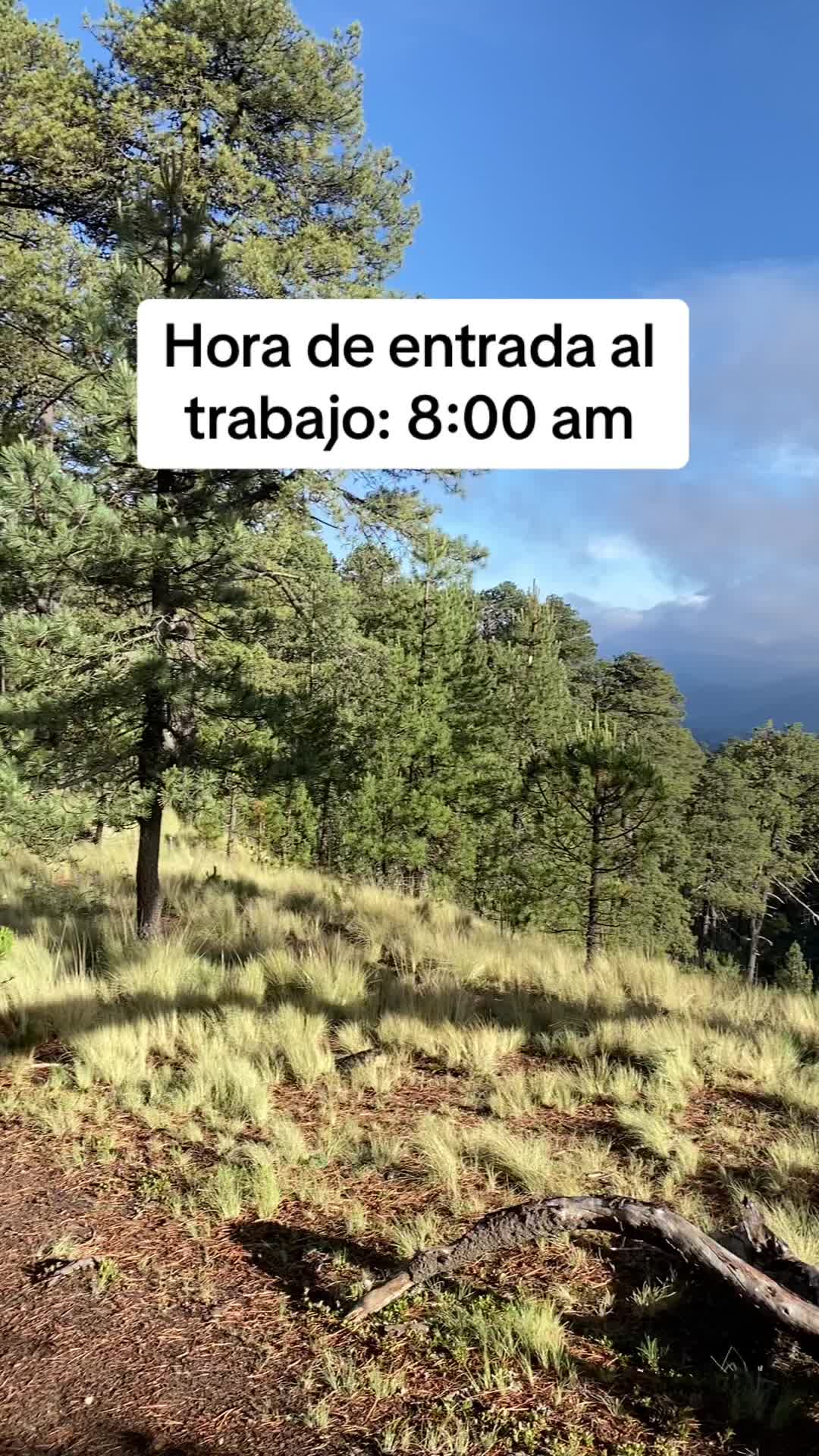 @Orlando Ibarra