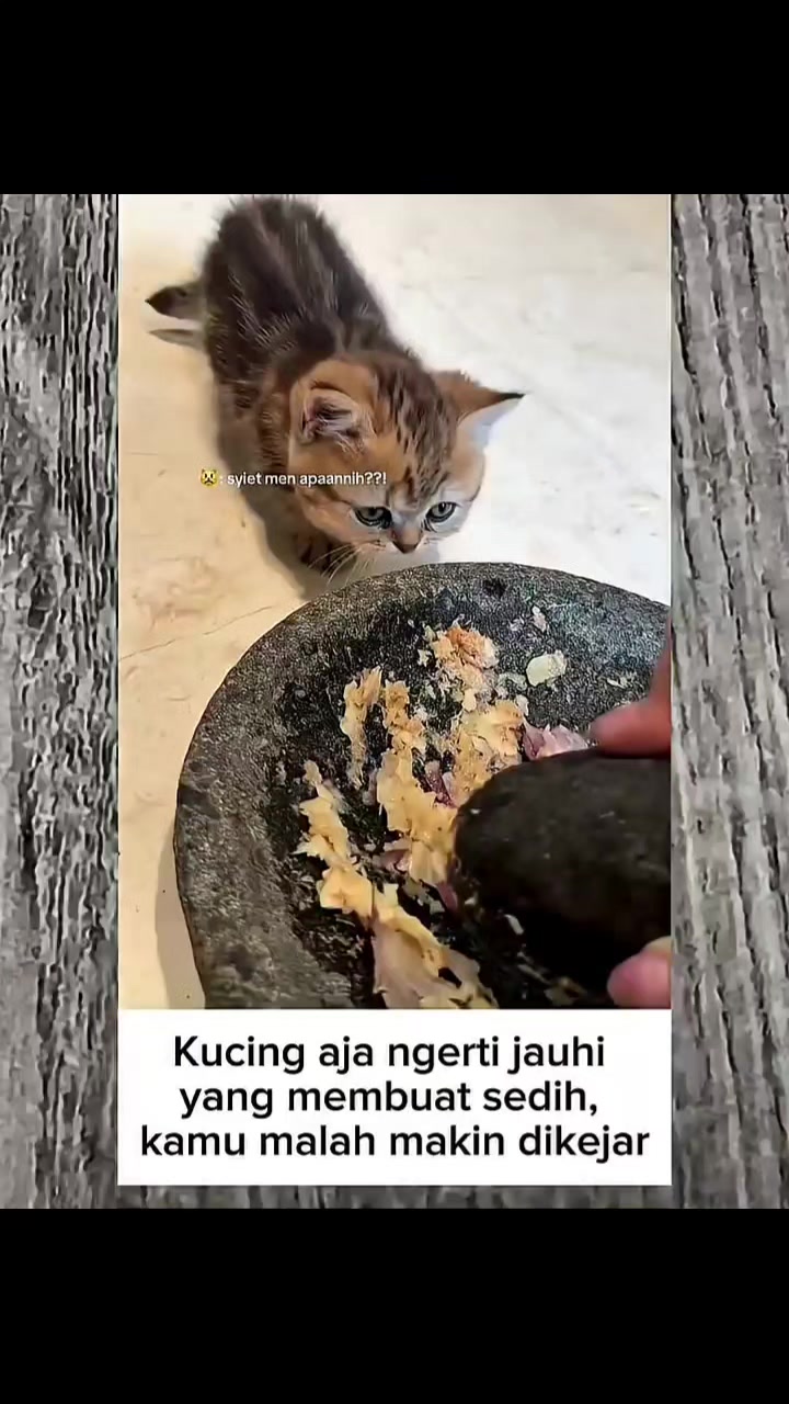 @Kiki