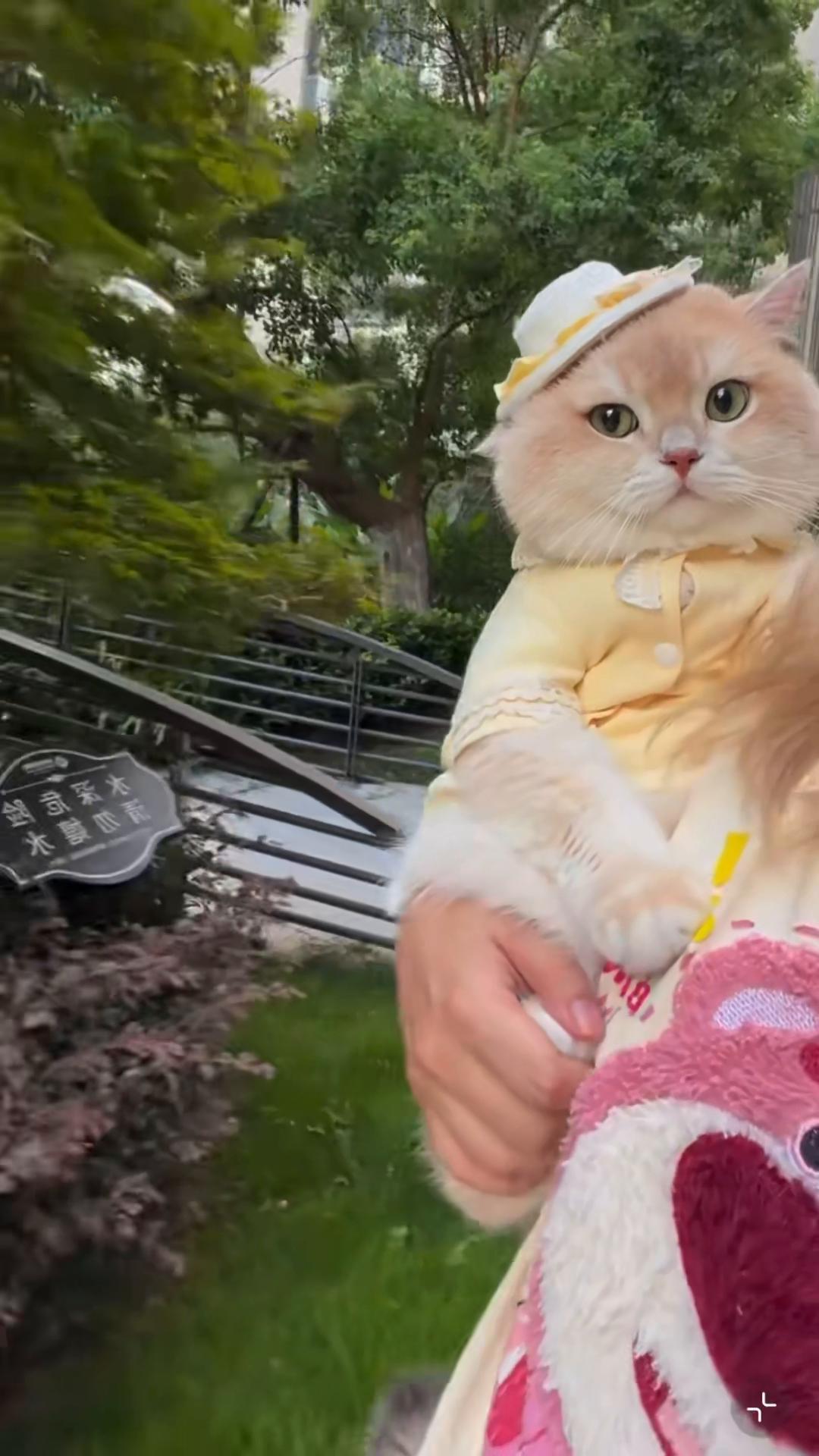 @My Daily Dose of Aww