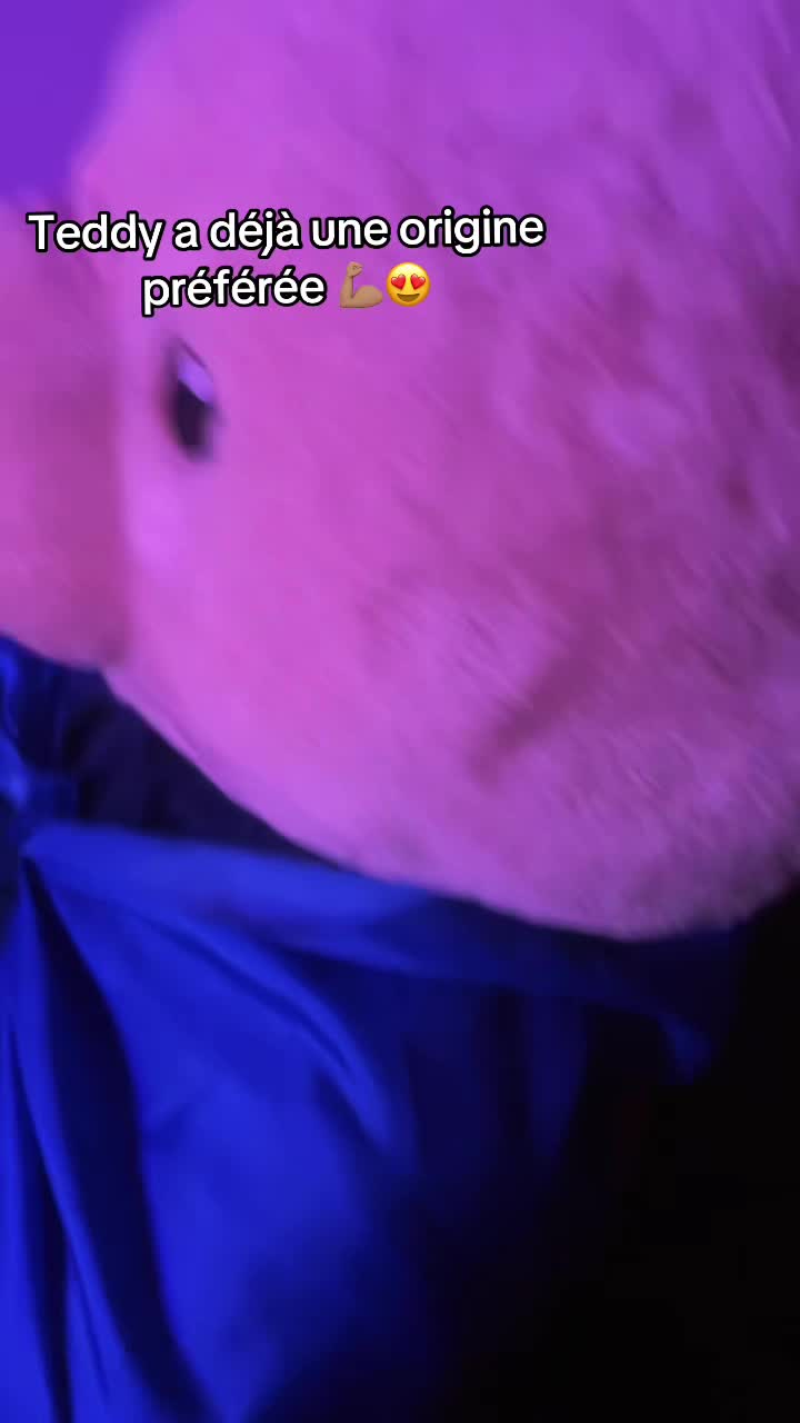 @Les aventures de Teddy
