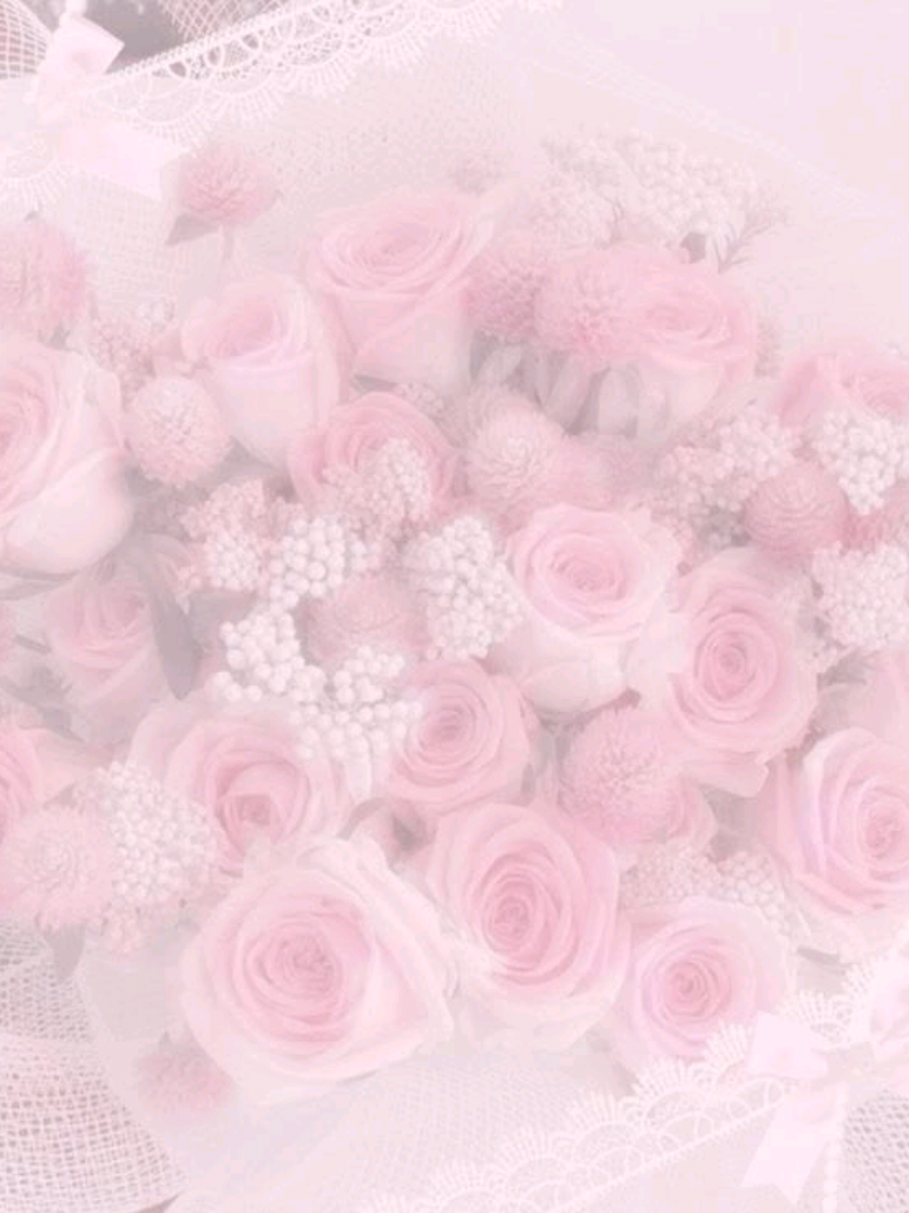 @compy⁸ ᓀ‸ᓂ