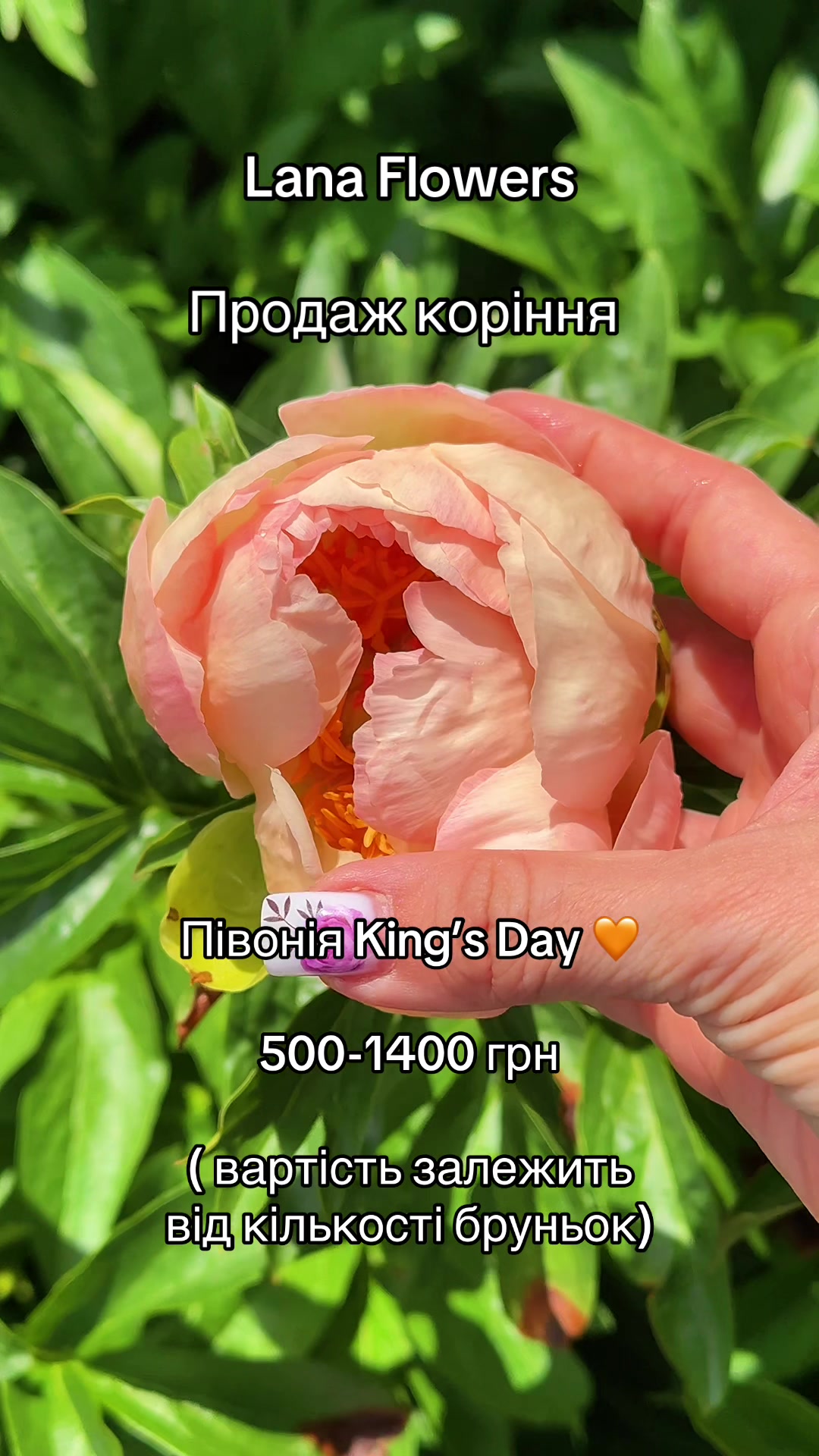 @Lana_Flowers
