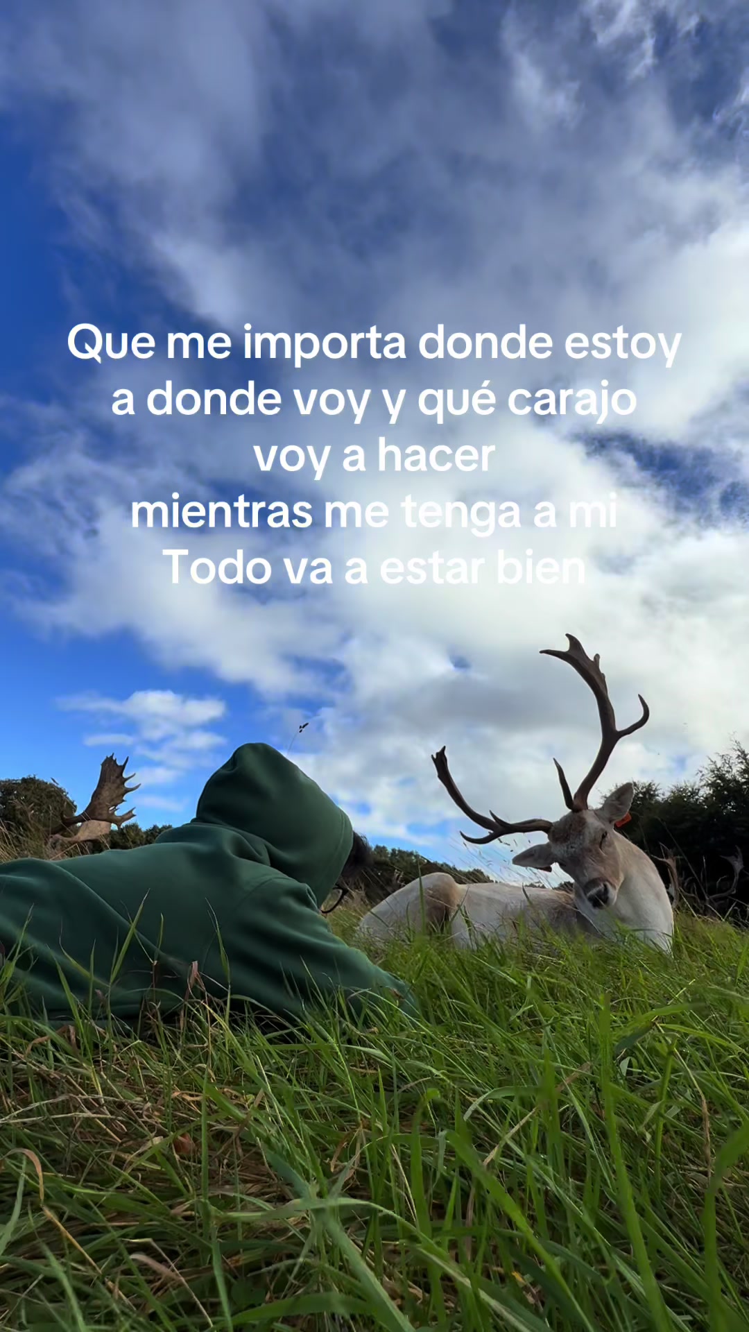 @DIEGO SALAZAR