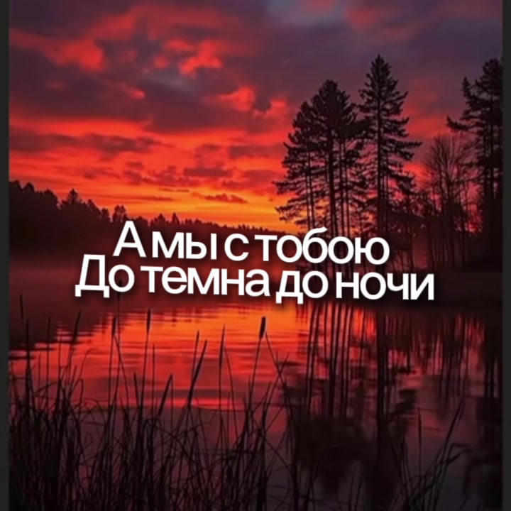 @🇩🇪♌️ ЛьВиЦа. Я ♌️🇩🇪