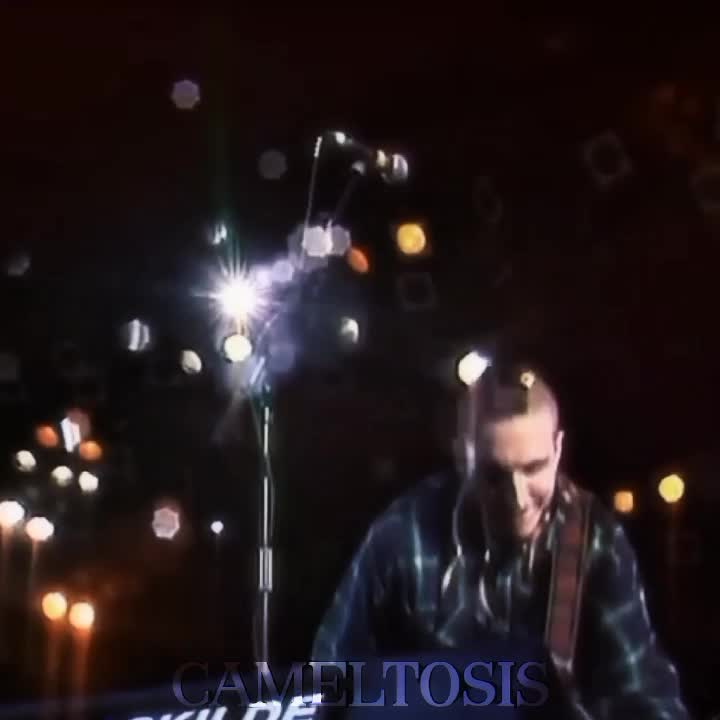 @cameltosis