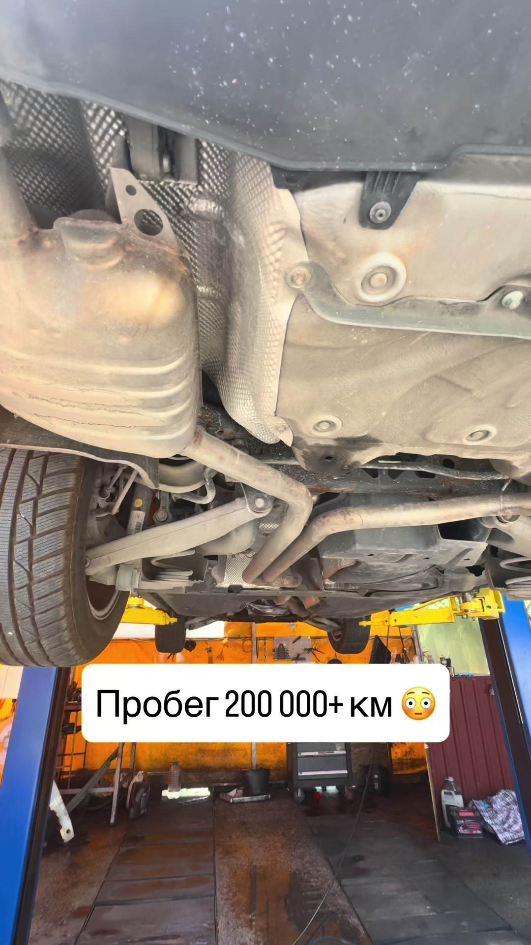@autopoint_mne