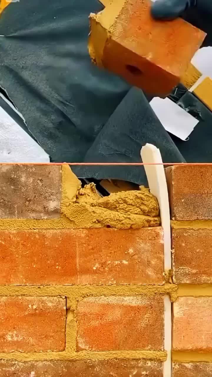 @◉‿◉