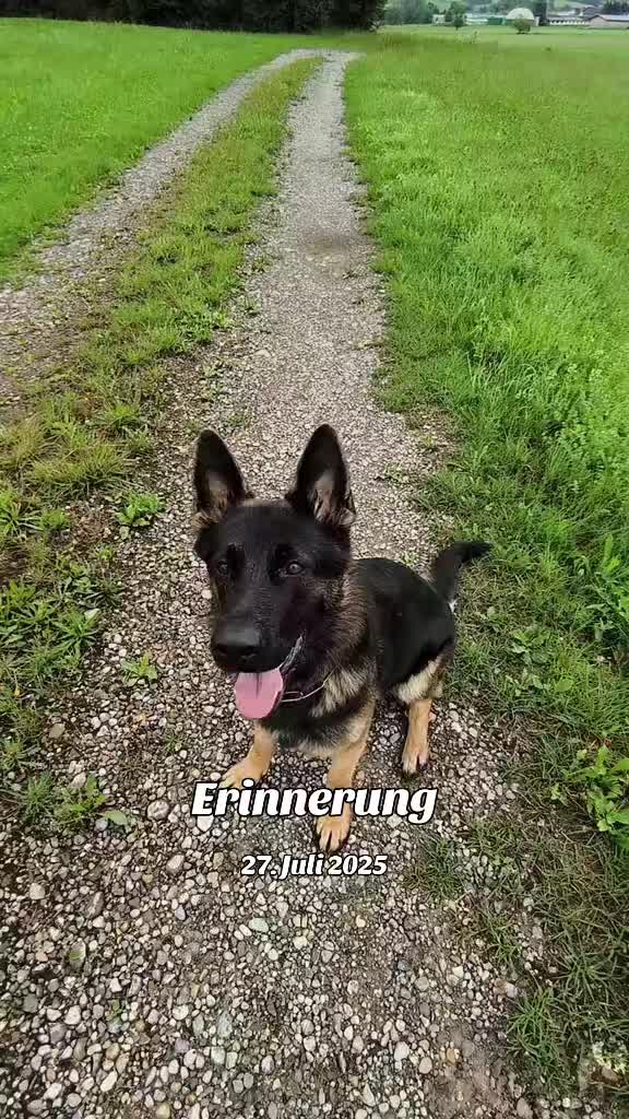 @wetterhexe