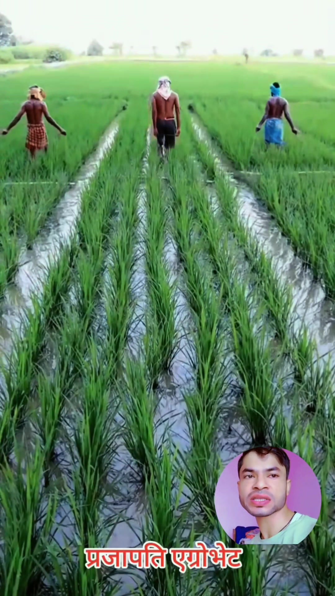 @Prajapati Agro Vet