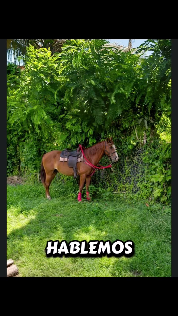 @caballero.R