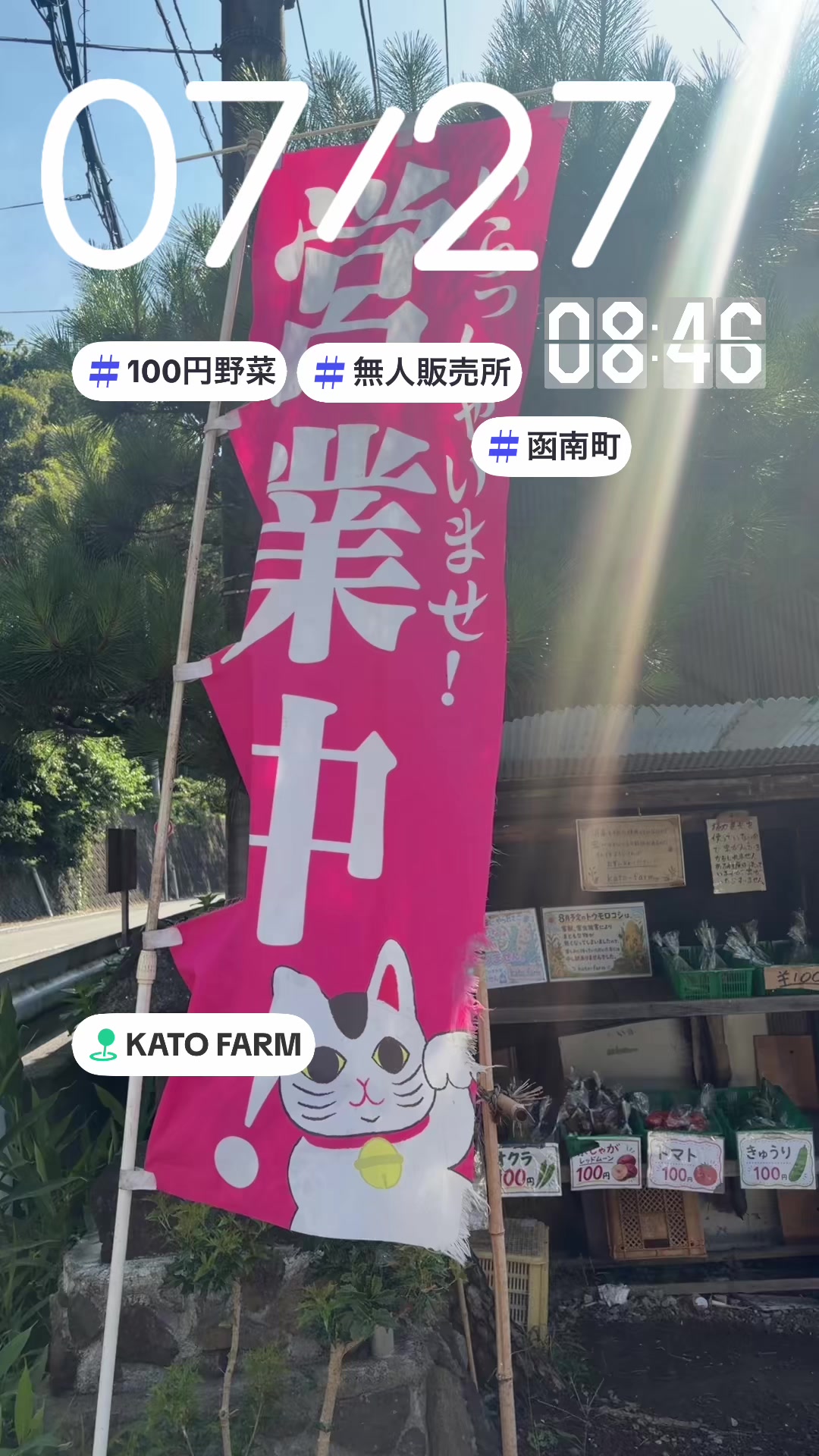 @🌞きょ子組ネキ🍆✋🌞