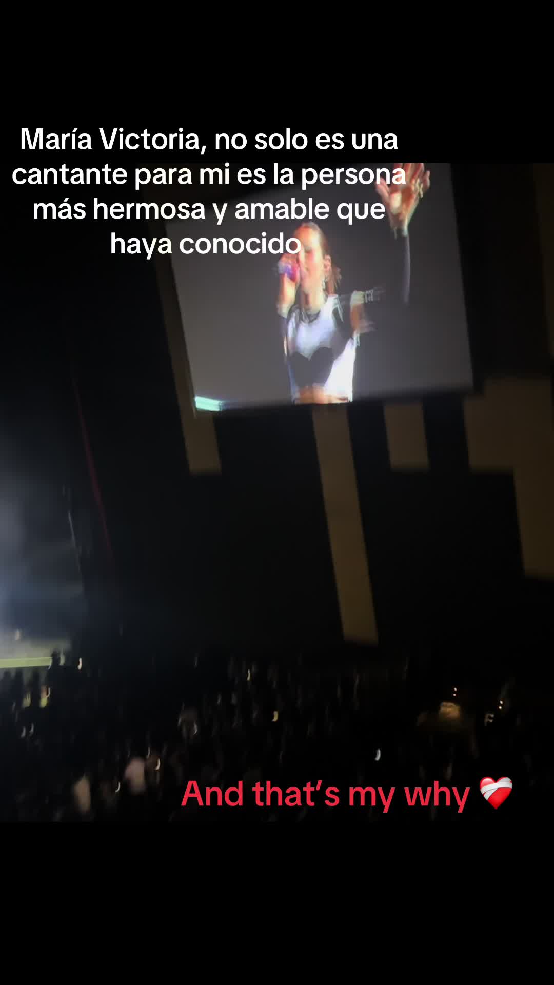 @🌸Erika✨