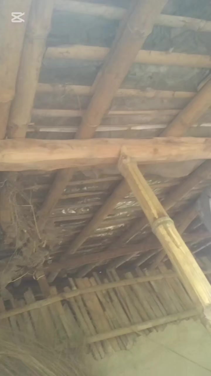 @๐๐๐ซ๐ถ๐๐๐ ๐๐ถ๐๐๐ถ๐๐