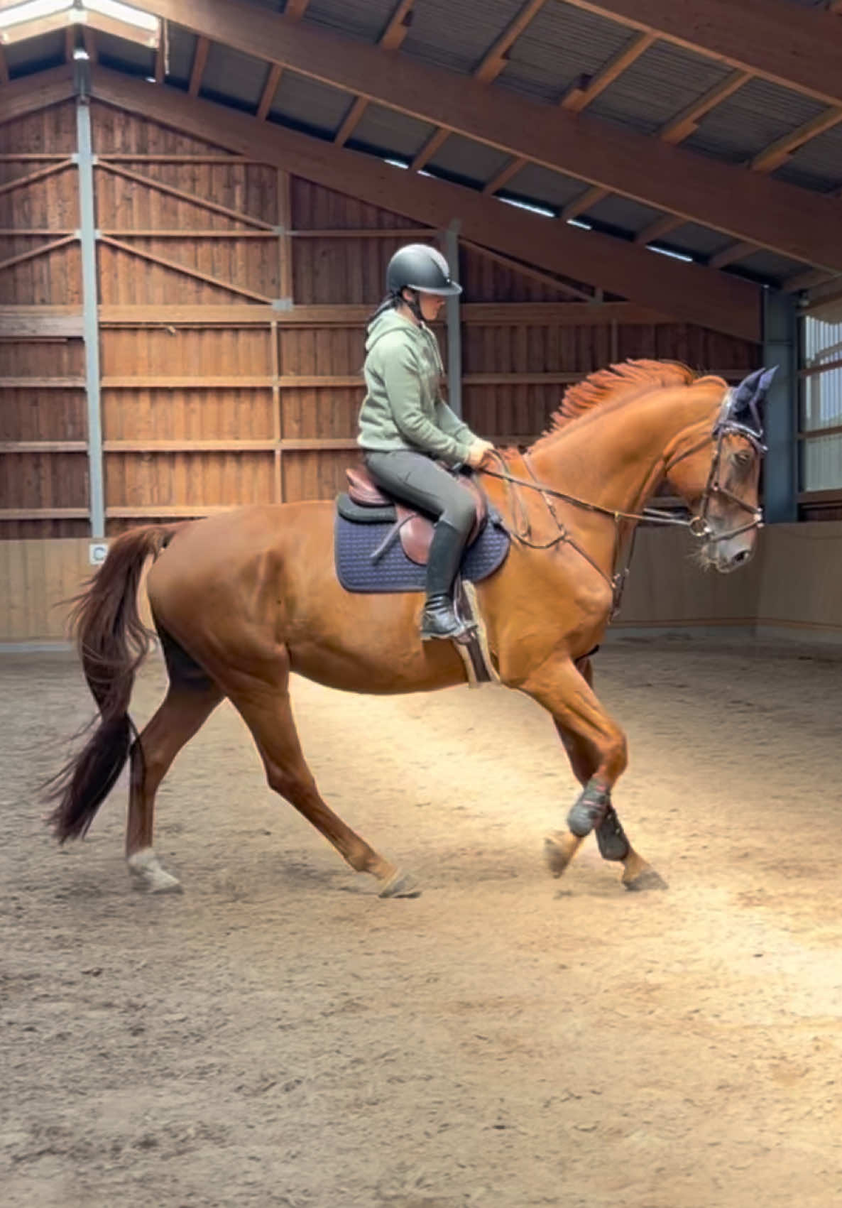 @annalisa.equestrian