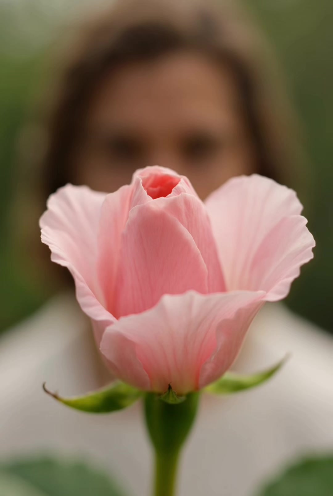 @enjoythepetals