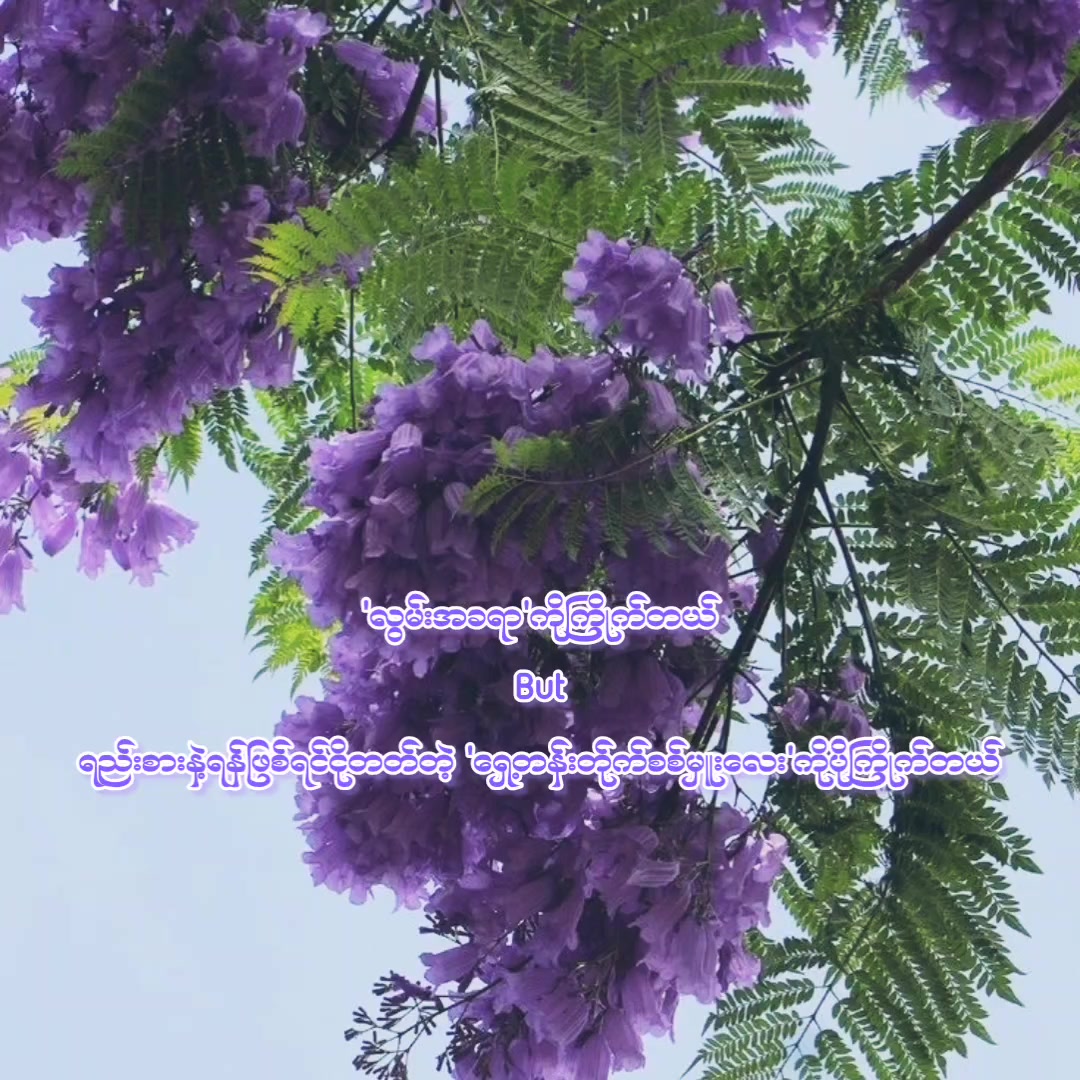@𝑃𝑒𝑟𝑡ℎ𝑆𝑎𝑛𝑡𝑦𐙚