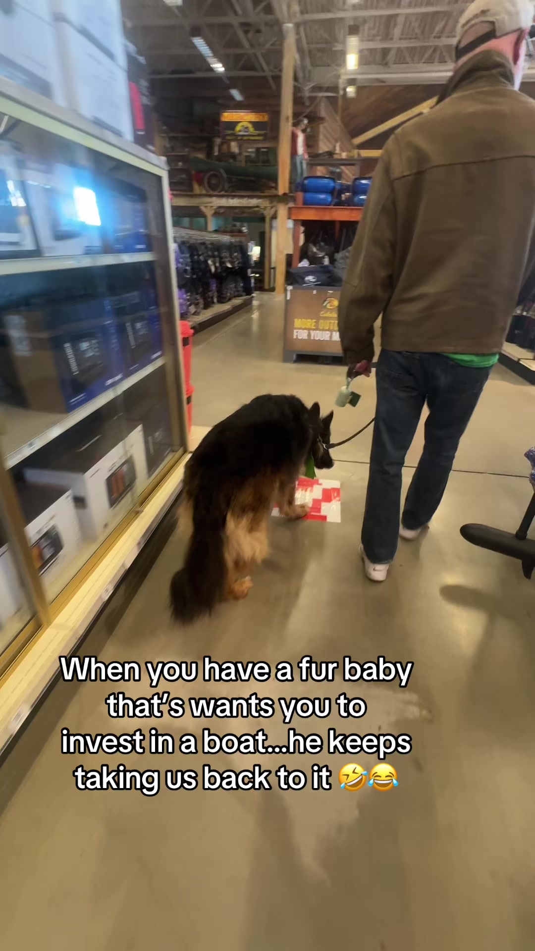 @ksdoggos