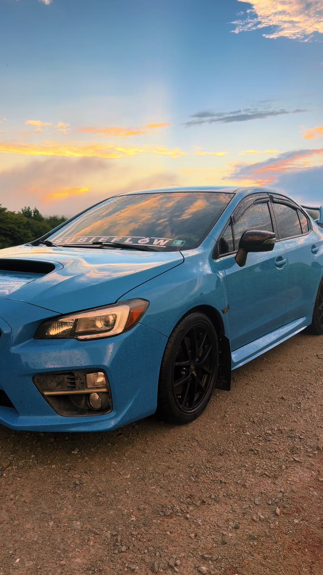 @sti_hay