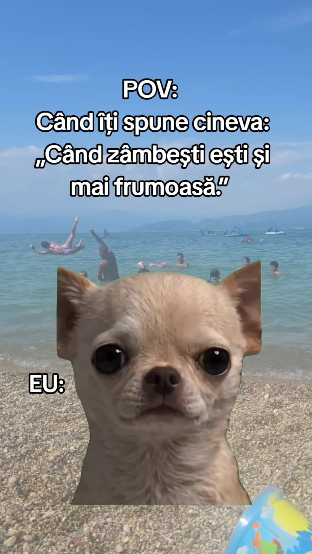 @ank_andreescu867